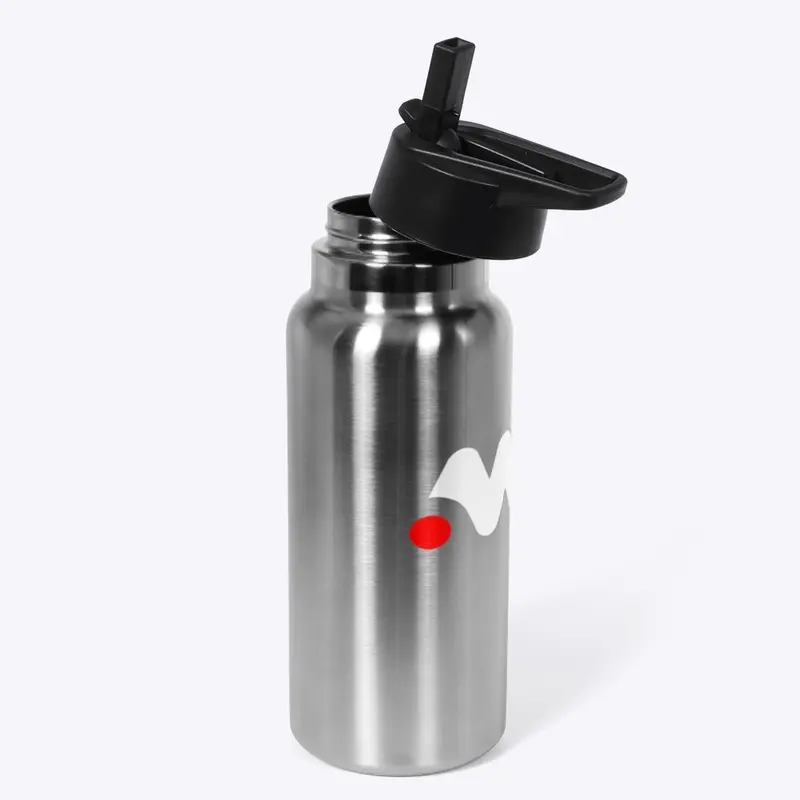 Stainless Steel Water Bottle 